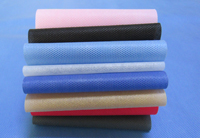 兴宁涤纶（PET）无纺布是什么